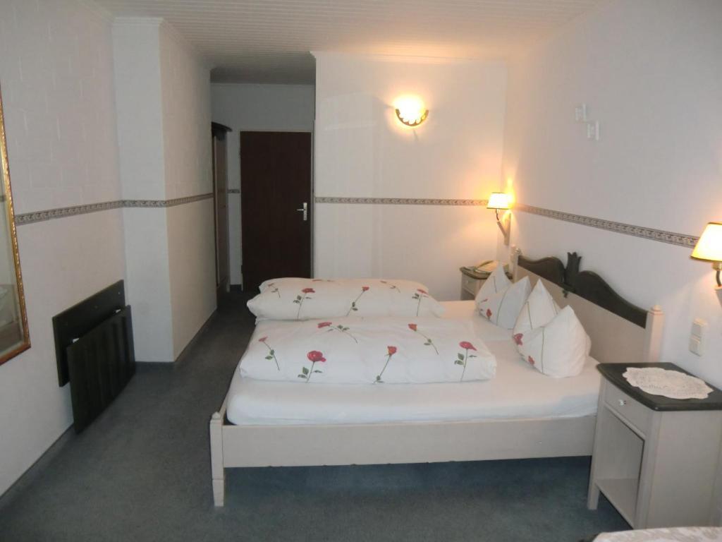 Hotel Schlossgarten Gladenbach Cameră foto